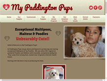 Tablet Screenshot of mypaddingtonpups.com